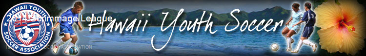 2014 Hawaii Spring Scrimmage League banner